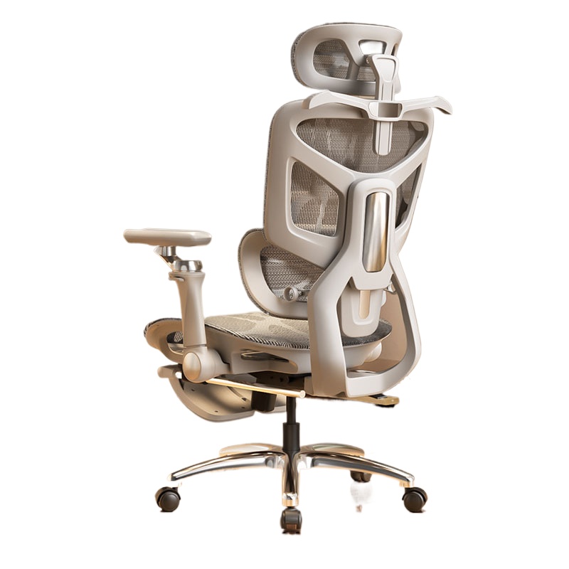 Ergonomic Office Chair - Chaise de bureau ergonomique pour le