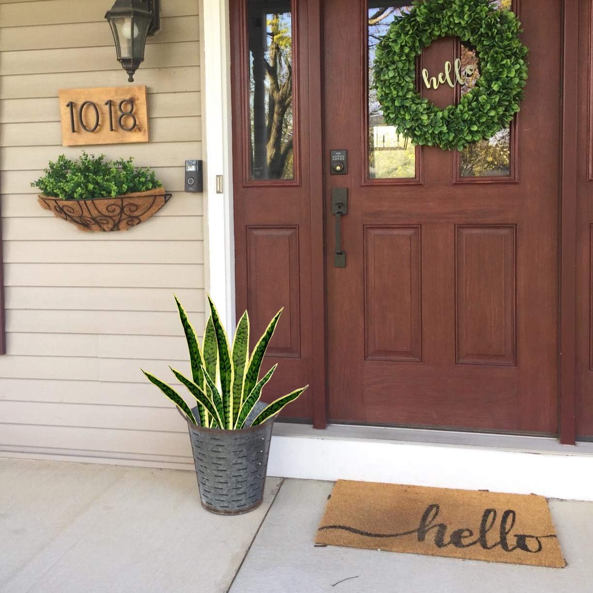 Faux serpent artificiel, plant - Home Office Layout avis et prix